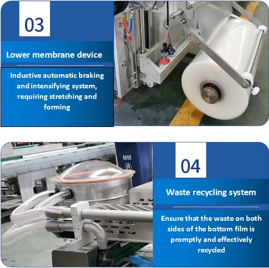 آلة التعبئة والتغليف بالفراغ الحراري للجبن #6