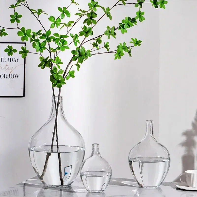 Japanese Style Big Belly Clear Glass Vase Living Room Decoration Simple Ins Home Room Decoration