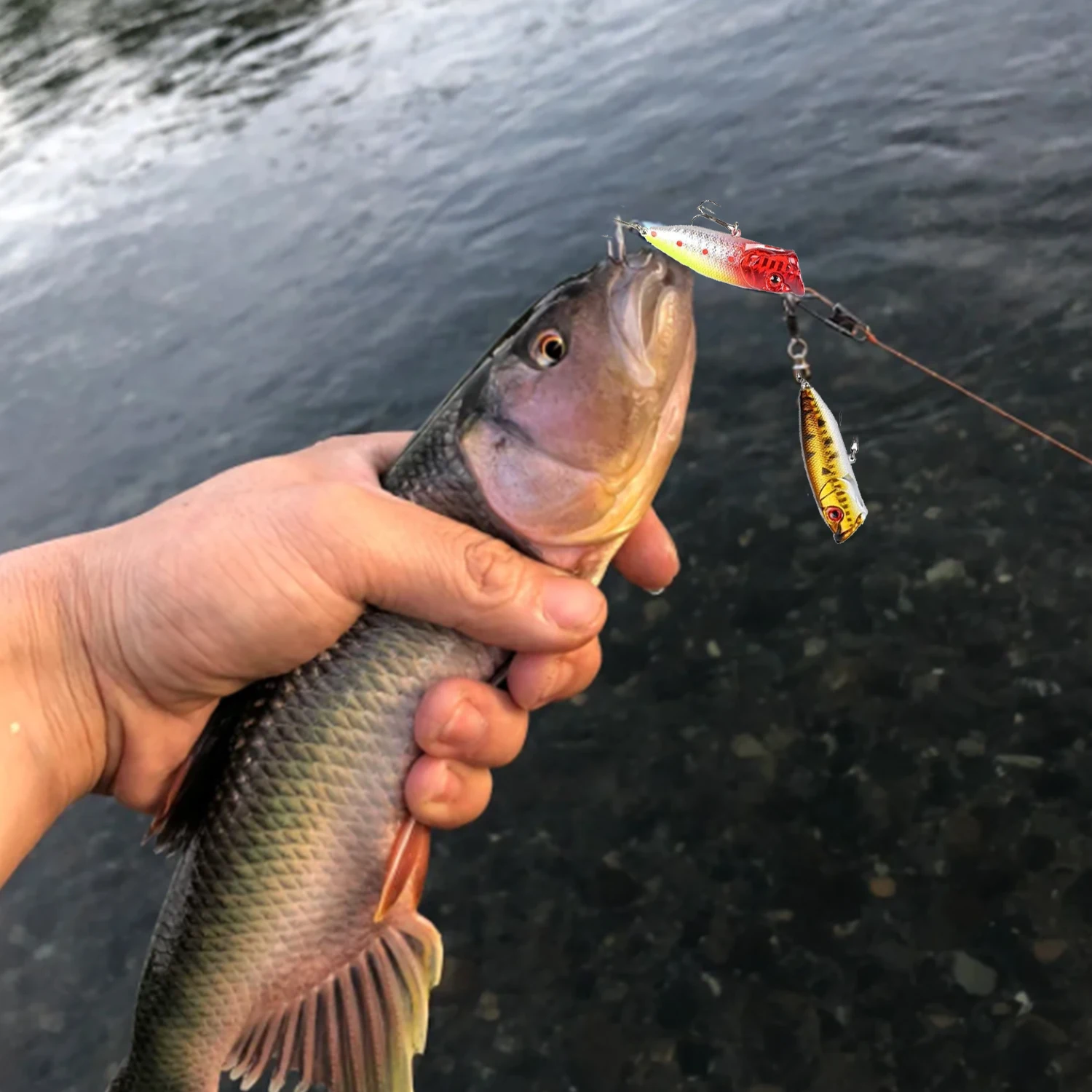 Calendario de Adviento de pesca 2024,24 días Señuelo de pesca Calendario de cuenta regresiva de Navidad Aparejos de pesca Regalo de Navidad para