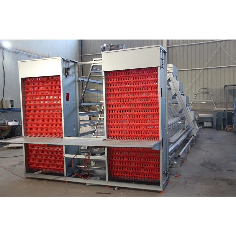 Automatic Egg Collector for Layer Cages, Multi Level Chicken Coop Equipment, Poultry Farm Automatic Egg Gathering System