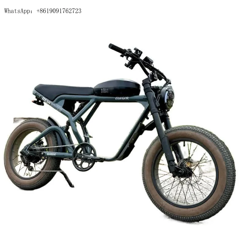 

Clrak Long Range 1200W Bike Mountain Fat Tire Dirt Ebike Hub Motor Moped Hybrid Electric Bicycle Full Suspension for Ad