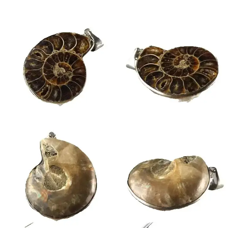 Natural AMMONITE   PENDANT