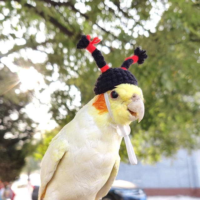 ニットのミニ手織りの鳥の帽子,ヘッドギア,面白いオウムの帽子,ギニアピッグスター,アクセサリー,小さなペットの帽子