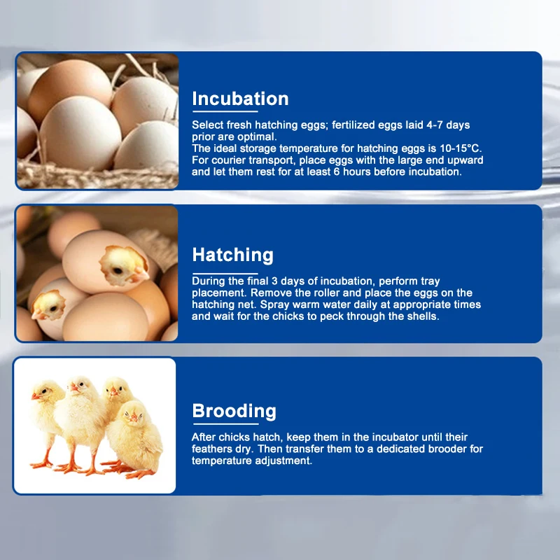 Industrial Automatic Large Incubator 80-240 Eggs Capacity Smart Hatching Machine Accurate for Chicken Duck High Hatching Rate