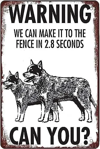 Retro Metal tin Sign Funny Warning! Blue Heeler For Home Cave Garage bar Wall Decoration Vintage -aluminum