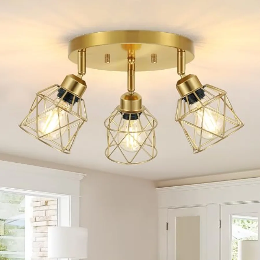 Brushed Kitchen Light Fixtures, Modern Close to Ceiling Light with Metal Cage, Multi-Directional Ceiling Lights for Farmhouse,