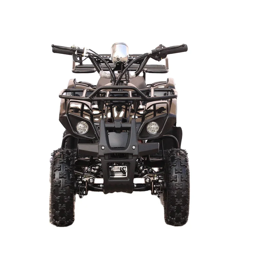 

2WD Automatic Chain Drive Mini kid 800w 36V/12AH electric atv for sale