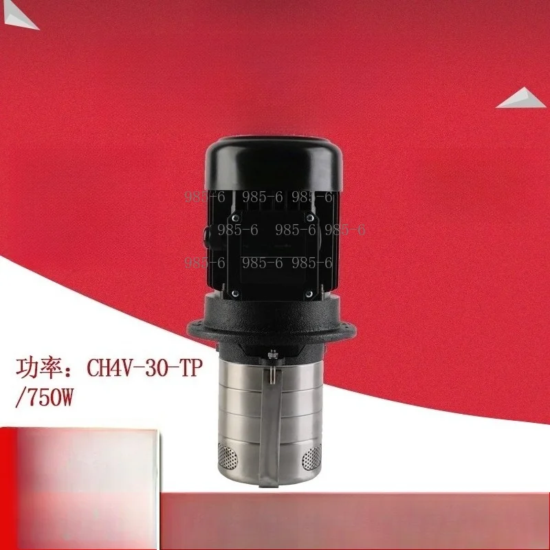 Vertical Stainless Steel Multi-stage Centrifugal High Head Water Pump 750W, Model CH4V-30-TP