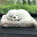 White Dog