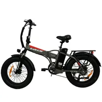 Electric Folding Bike BAOLUJIE DZ-2001 750W Popular Style Aluminum Alloy LCD Display Powerful Battery Shimano 7 Speed