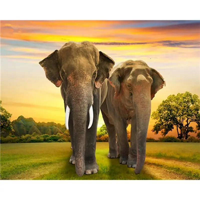 GATYZTORY Sunset Elephants DIY Painting By Numbers