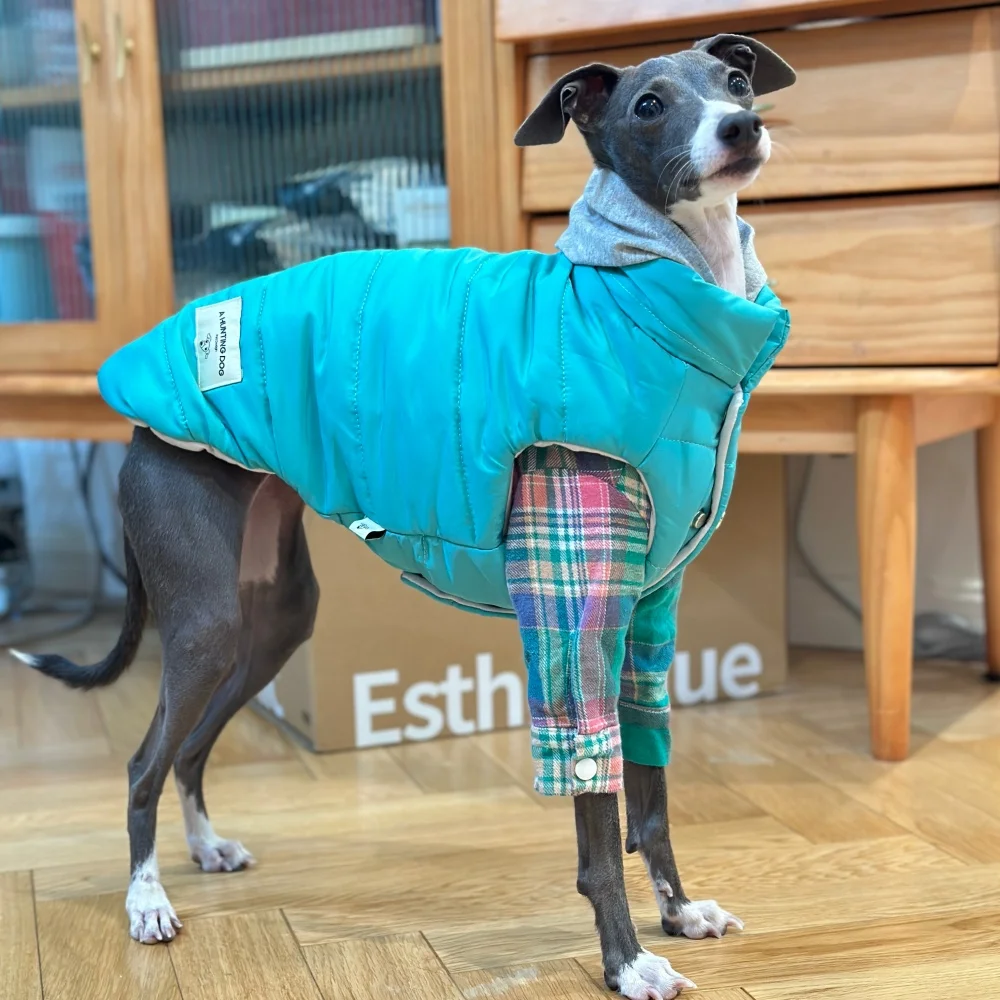 犬用の厚手のコットンジャケット防風コートボタン付きベスト暖かい服イタリアングレイハウンド白青ホイペット冬のファッション