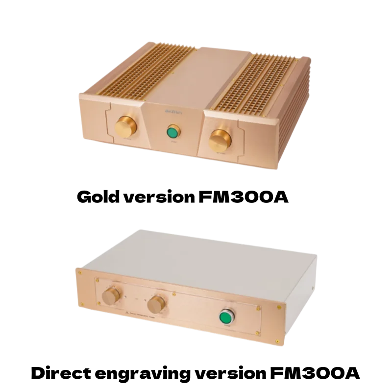 

New 99.9% direct cut FM ACO STICS FM300A classic amplifier machine is a regular model of the S-DAXIAO amplifier