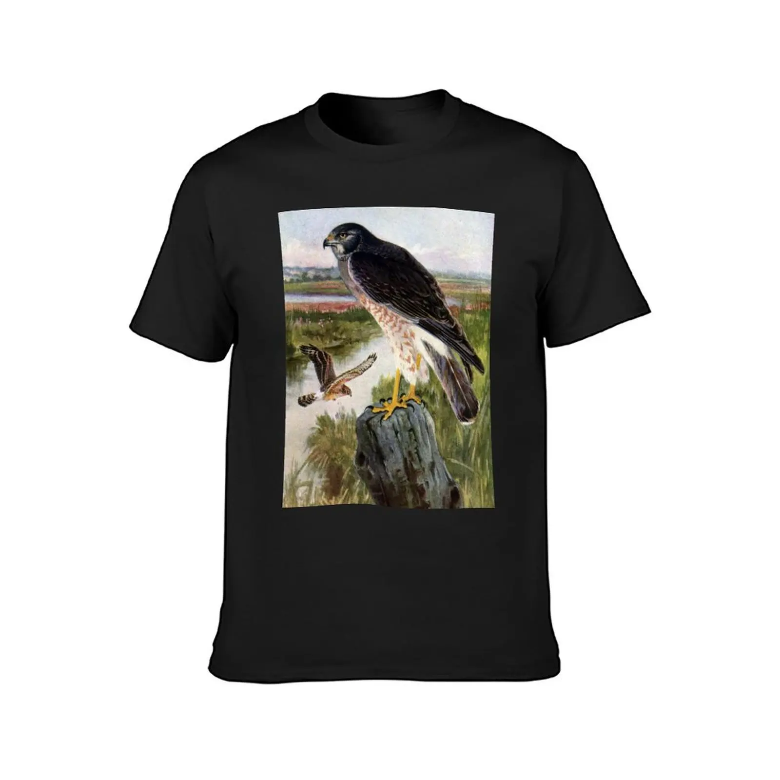 Marsh Hawk in Wetlands T-Shirt cute tops cute clothes mens big and tall t shirts