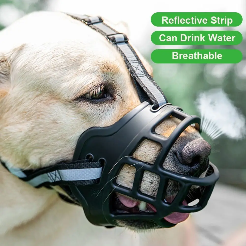 Thumbnail 2 - #27 Latest Puppy Clickers Offers