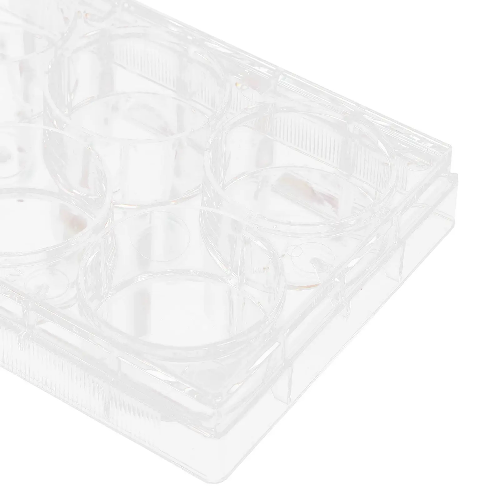 Tissue Culture Plate Lab Durable Practical Design Cell Culture Tray for Laboratory Cell Lab Equipment