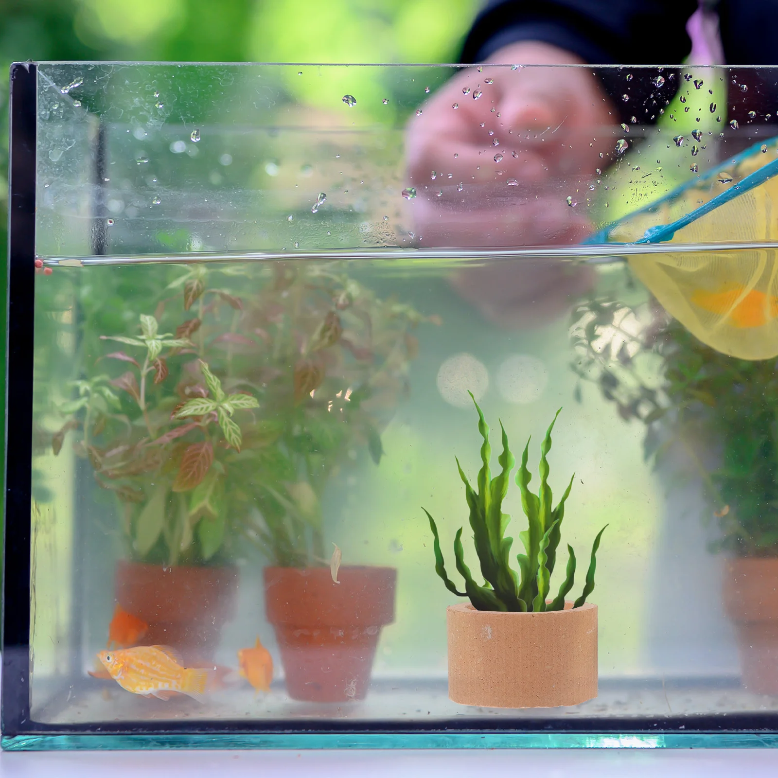 

12Pcs Ceramic Plant Holders Aquarium Rings Fish Tank Water Plant Fixed Ring Anti Floating Aquatic Decoration Fish Tank Ring