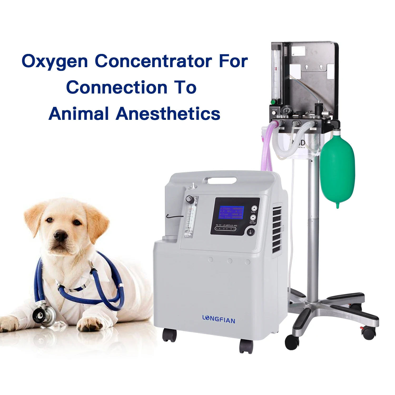 10L 산소 농축기 JAY-10 산소 발생기, 96%  - Medical Oxygen Concentrator 리뷰 및 가격