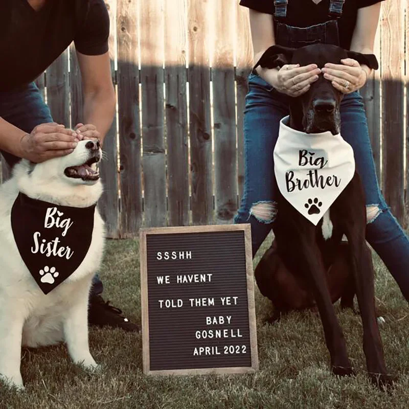 Big Sister Brother Dog Bandana Pregnancy Announcement Baby Shower Gender Reveal daddy mommy to be decoration Gift photo props