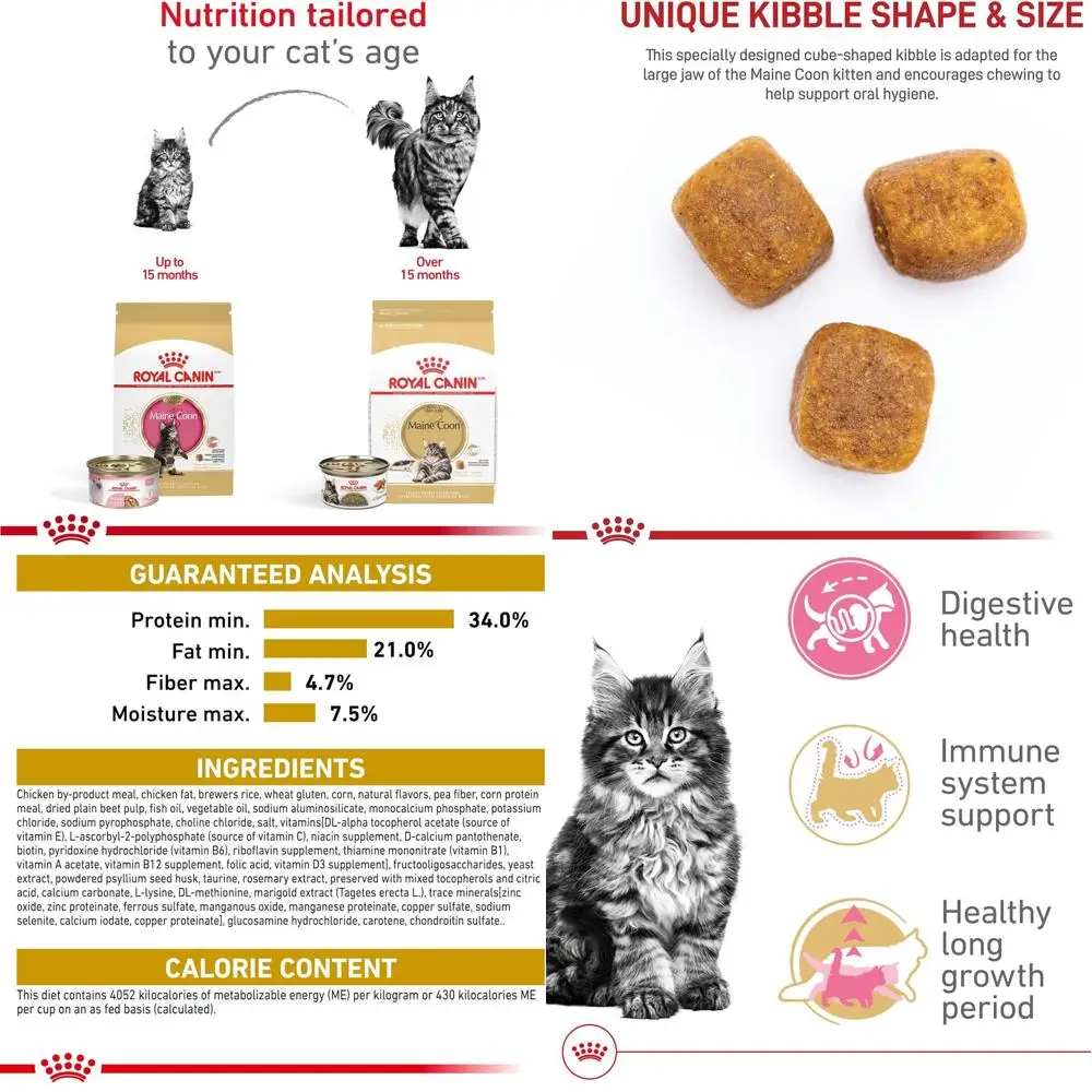 

Maine Coon Kitten Dry Food, 3 lbs, Eline Breed Nutrition