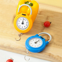 10KG Digital Mini Pocket Scale 0.1KG Fishing Scale Portable Travel Luggage Weighing Scale Handle with Hook Kitchen Tool