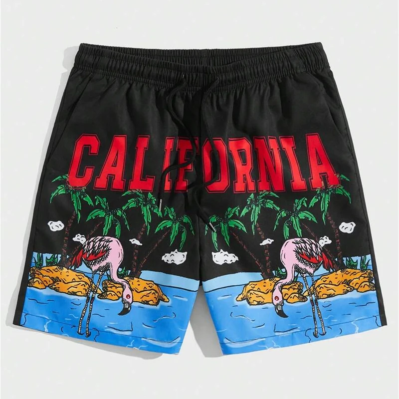 

Summer Holiday Style Mens Shorts Hawaiian Beach Vacation Surfing Shorts Hip Hop Trend Swim Trunks Fashion Breathable Man Shorts