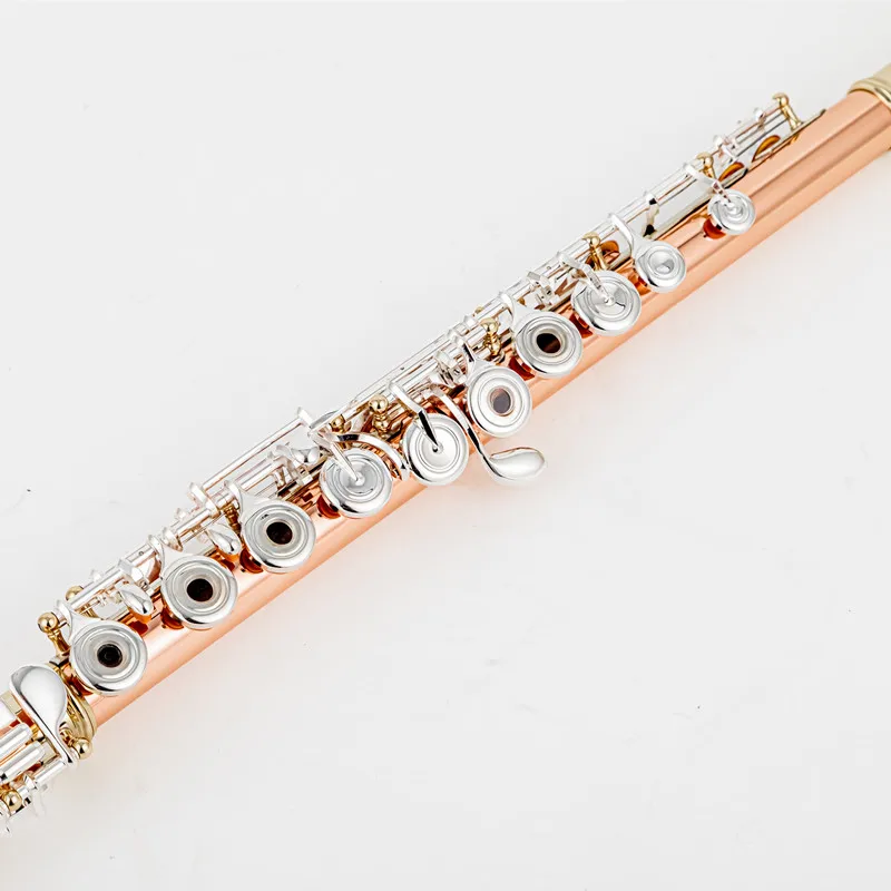 Thumbnail 4 - #9 New Flute Cases & Gigbags Arrivals