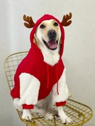 Pet Dog Clothing For Winter Warmth Pure Cotton Plush Christmas Deer Hoodie Large Dog Golden Hair Labrador