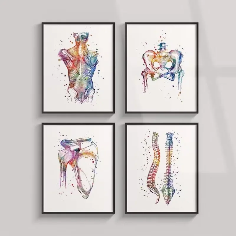 Home Human Anatomy Muscles System Wall Art Canvas Painting Posters and Prints Body Map Wall Pictures Medical Education Decor