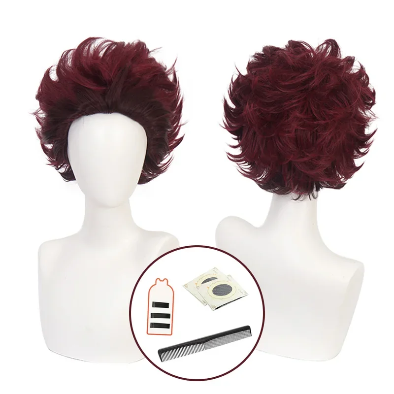 

FC6HOLOUN Anime Kamado Tanjiro Cosplay Wig Rose Net Synthetic Fiber Adjustable Size Heat Resistant Cap Comb Halloween Cos@FC8！