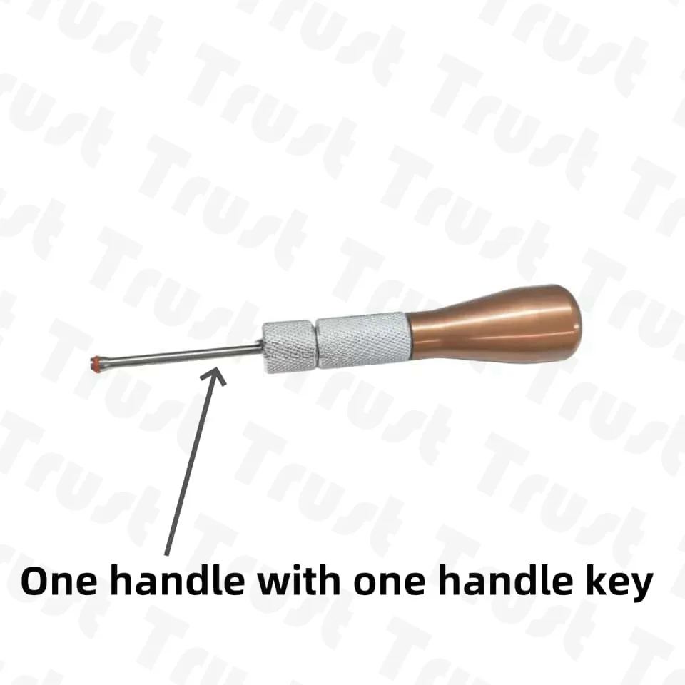 Temporary Anchorage System Mandrel Implants - Mini Micro Screws with Handpiece Key for Precise Orthodontic Applications