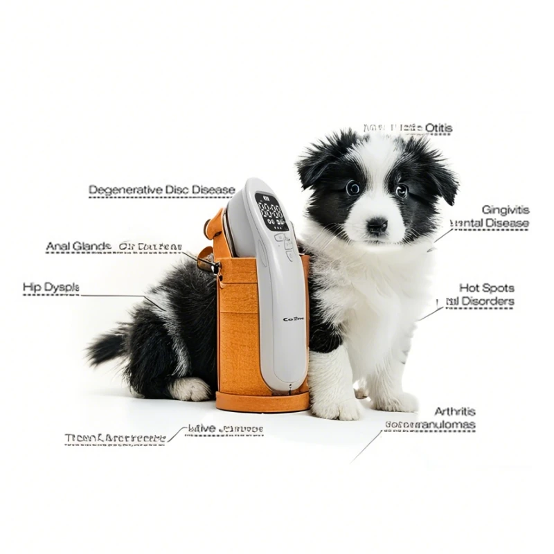 Rapid Wound Sterilizer Laser for Multi Pet Homes, Kills Germs Fast, Prevents Cross Infection, Safe Home Care for All Pets