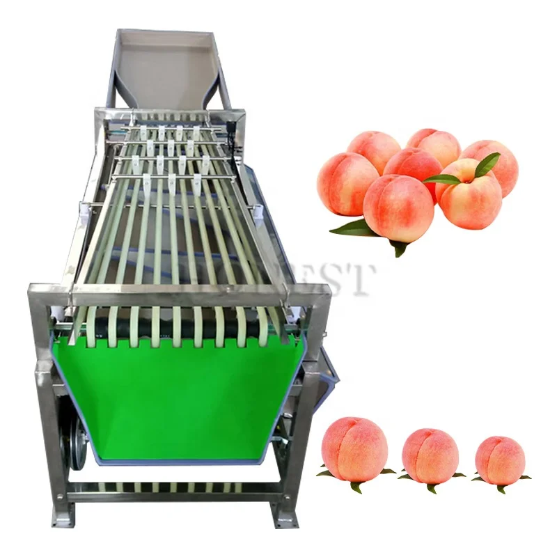 High Efficiency Sorting Machine Vegetables / Oranges Sorting Machine / Citrus Fruits Sorting Machine