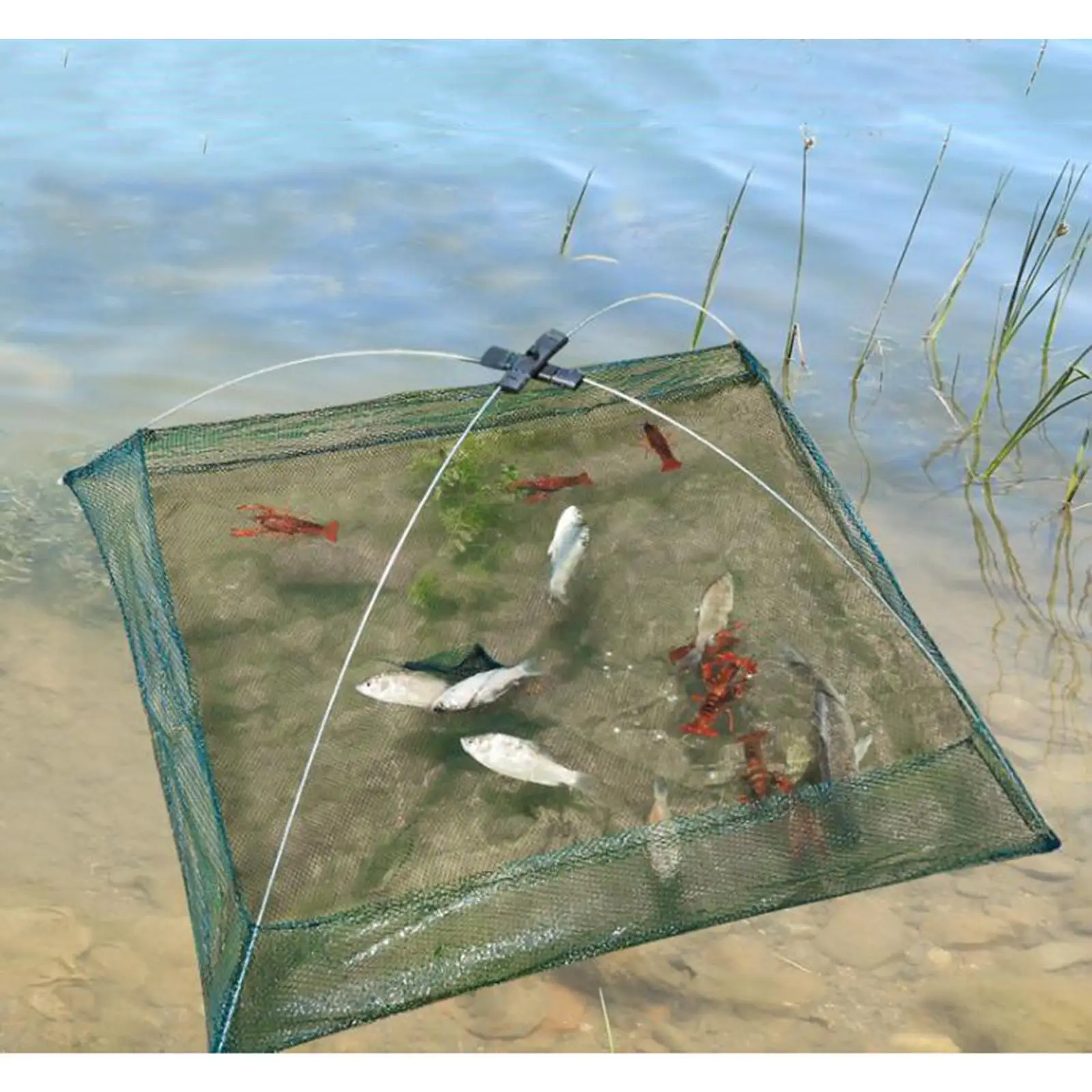 Drop Fishing/Landing Net Crayfish/Shrimp Catcher Casting Network Mesh Cage Trap for Fish Eels Trap/Cage Prawn Bait Net