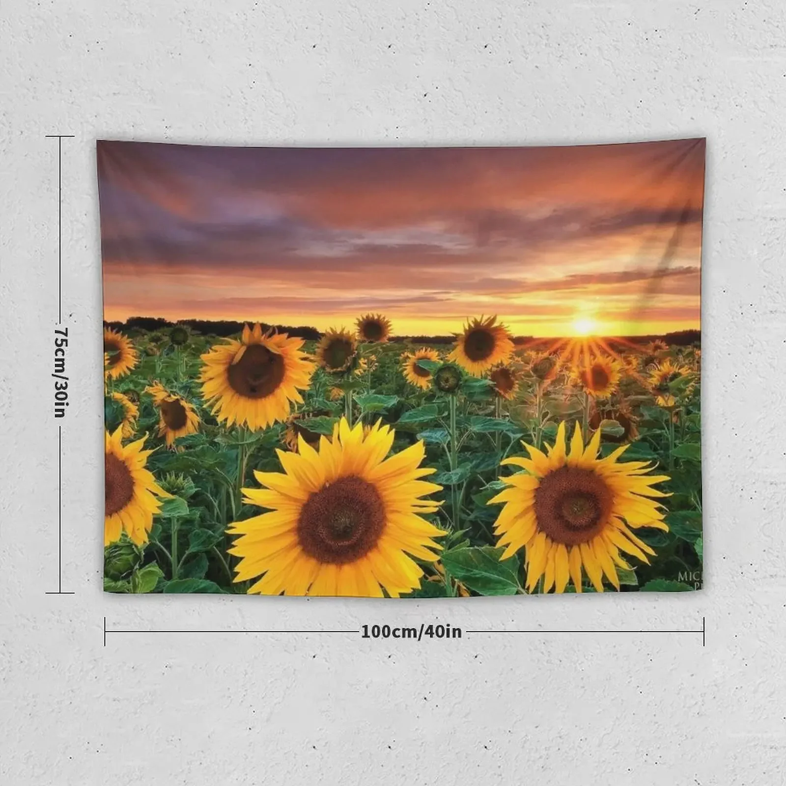 Sunflower field series #15 –Sunflower field sunset - by Jéanpaul Ferro Tapestry House Decor Tapestry