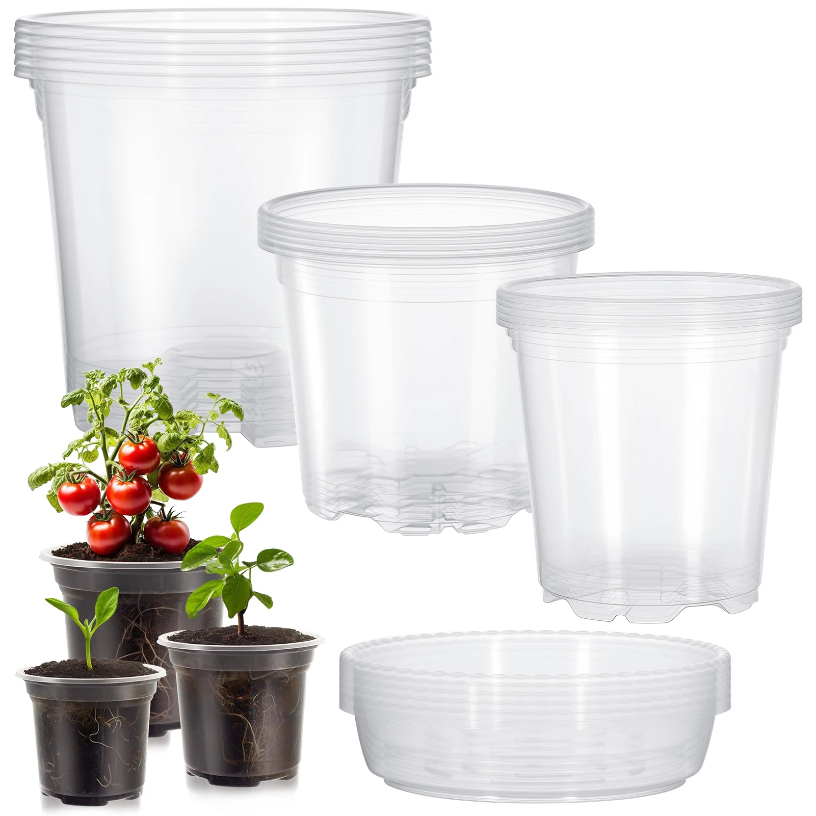 Juego de 5 macetas transparentes de plástico con platillos para plantas de interior, orquídeas y suculentas, con orificios de drenaje.