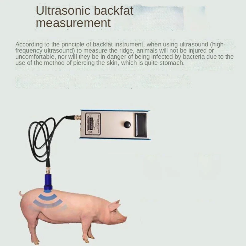 Precision Pig Back Fat Detector Farm Animal Measurement Tool Essential Livestock Equipment for Agriculture