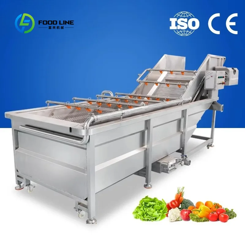 Customized Air Bubble Washing Machine with Motor Pump for Soybean Nuts Vegetable/Fruit Sterilizing Pesticide Residue Removal