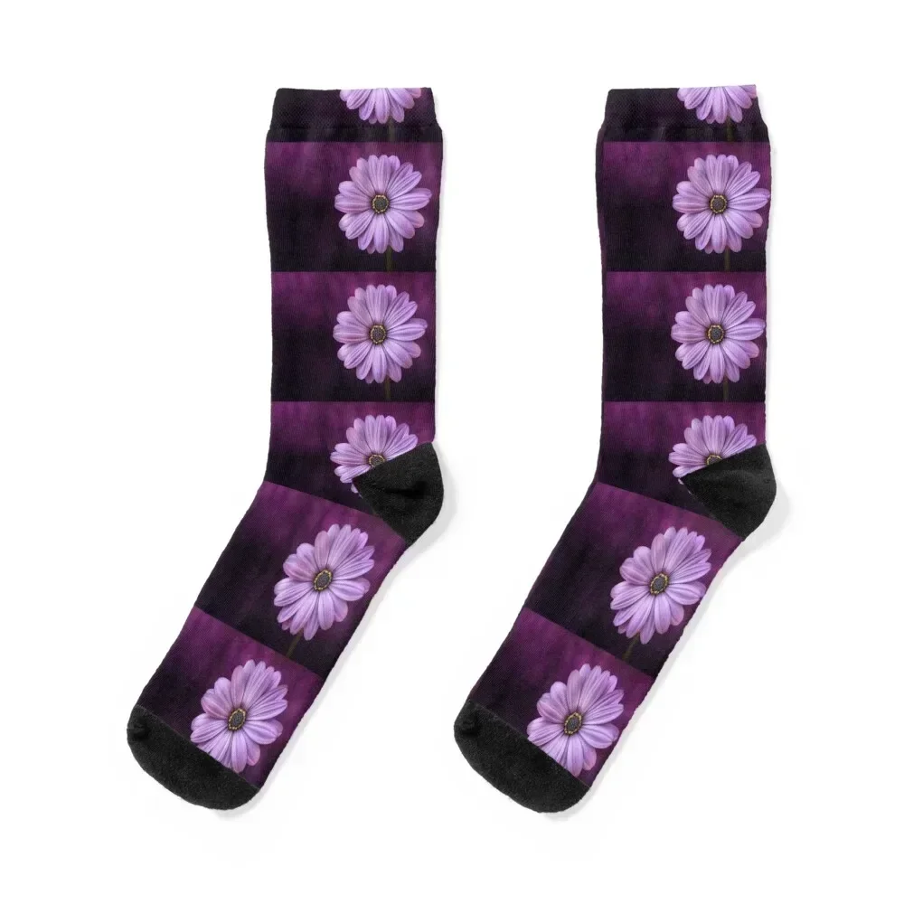 Lilac Purple Gerber Daisy Socks designer brand japanese fashion Socks Male Women's