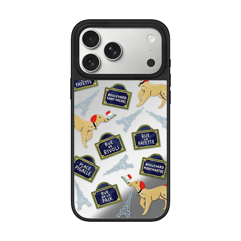 

6011523 Acrylic / Mirror Magnetic Case: Compatible with IPhone 17 16 15 14 13 12 Pro Max 17 Air