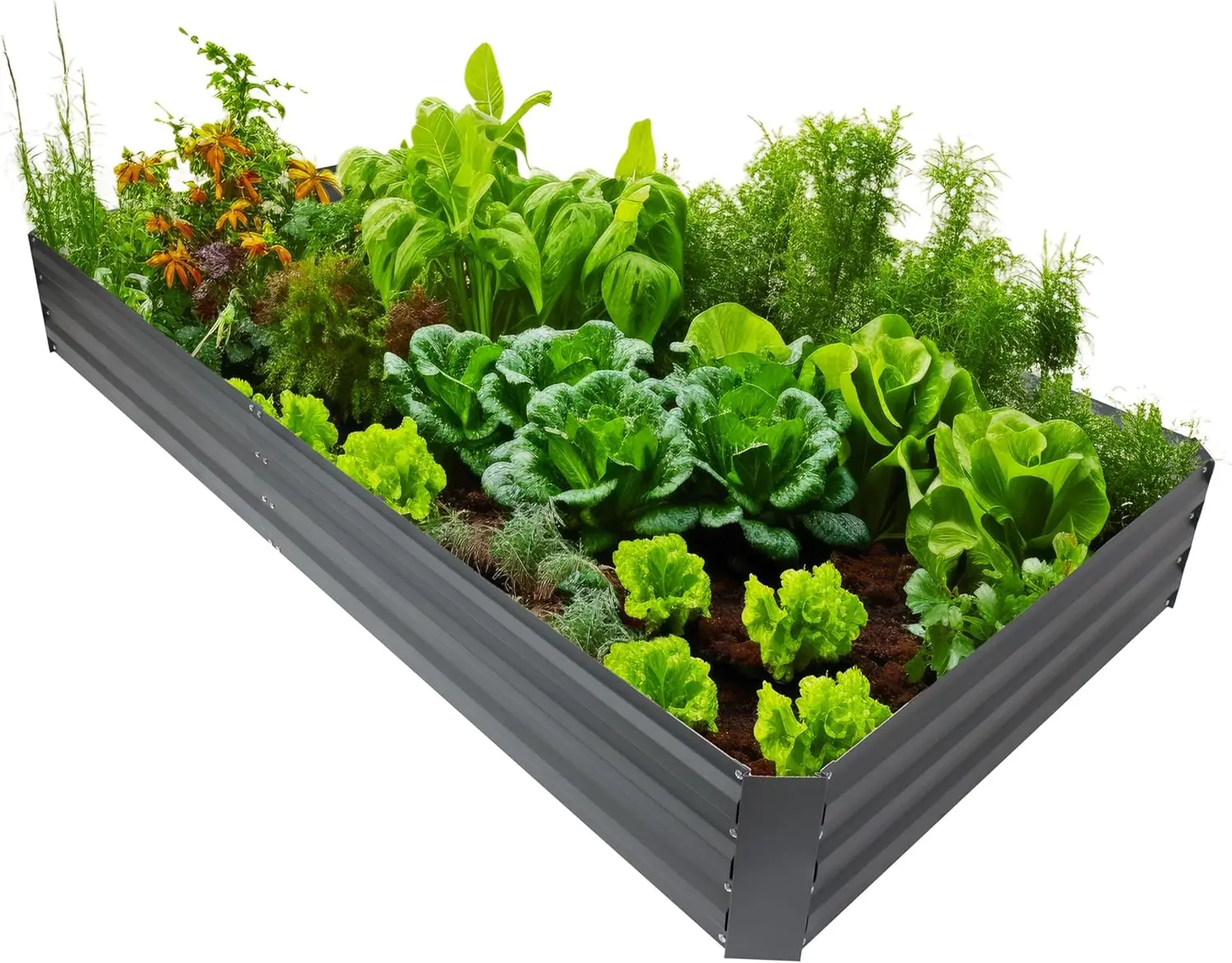 Galvanized Steel Rectangular Raised Garden Bed - for Flowers, Plants, and Vegetables - Gray - 4 x 8 ft