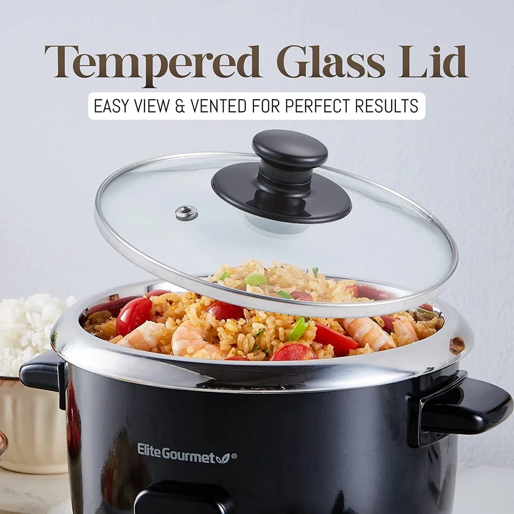 電気炊飯器 6合炊き ステンレス内釜 多機能グルメ調理機 スープ シチュー オートミール 保温機能付き