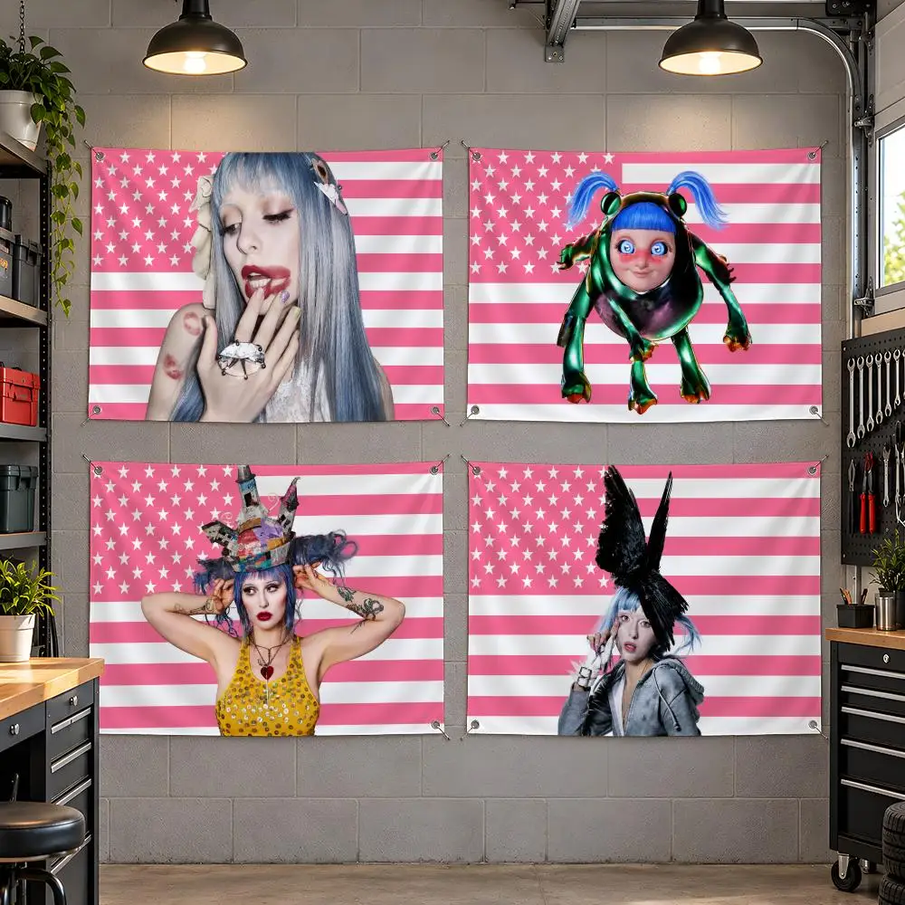 Singer Alternative Pop Ashnikko Flags Fan Flag Banner Outdoor Camping Backyard Lawn Garden Patio Party Decor Gift