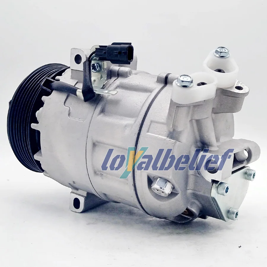 DCS-17C Air Conditioner Compressor For Renault Laguna 2.0/3.0 DCi 2007 for Nissan X-TRAIL II 2.0 dCi 2010 926001DA0B 92600-1DA0A