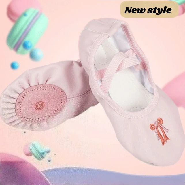 New Embroidered Ballet Shoes Soft Sole Dance Shoes for Adults Modern Latin Training