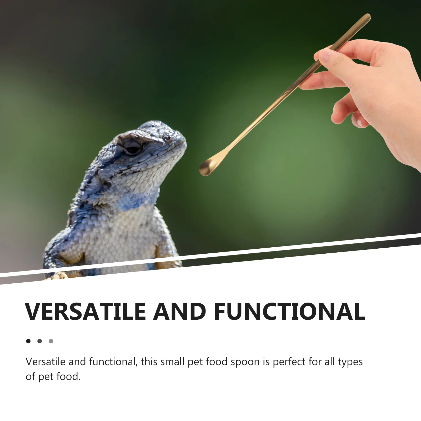 2Pcs Pet Feeding Scoop Stainless Steel Durable Reptile Food Spoon Small Animal Food Feeder Tool Portable Reptile Feeding Spoon