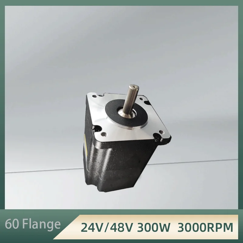 

BLDC 60mm Brushless DC QW60Y2H03L30300 Low Voltage Motor 300W 48V 3000rpm Low Noise Brushless Motor