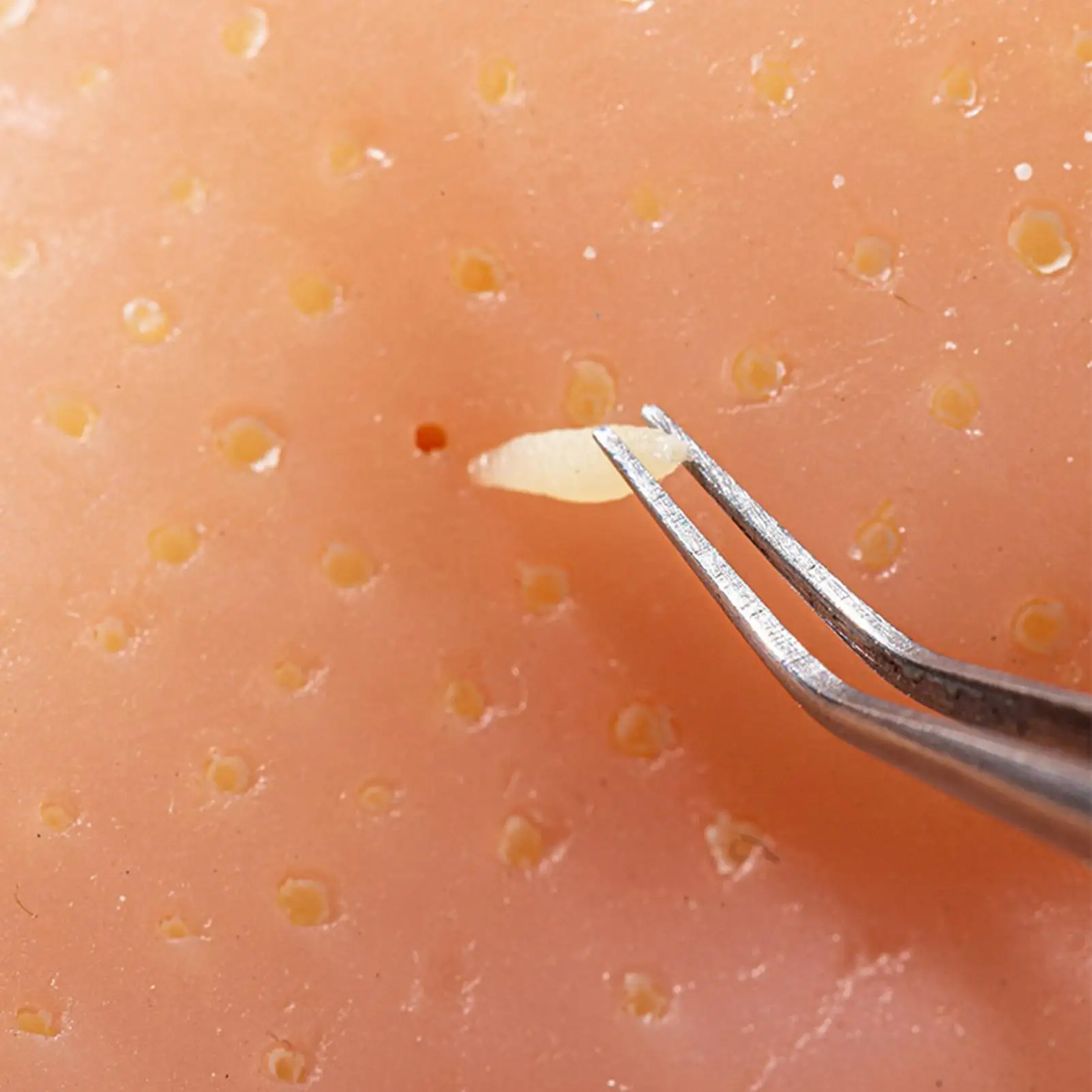 لعبة بثرة من السيليكون تململ لعبة ظهرت حسية قابلة لإعادة الاستخدام لتخفيف التوتر لعبة الأنف للأطفال الأولاد والبنات والكبار في الفصول الدراسية