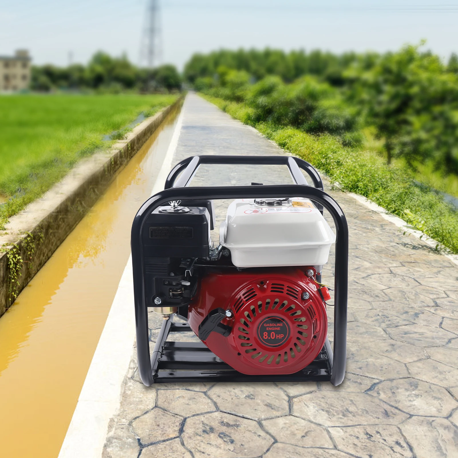 6.5HP Gas Powered Water Pump, 4-Cycle Engine with Inlet Pipe Connection & Outlet Pipe Connection, Transfer Pump for Garden Farm