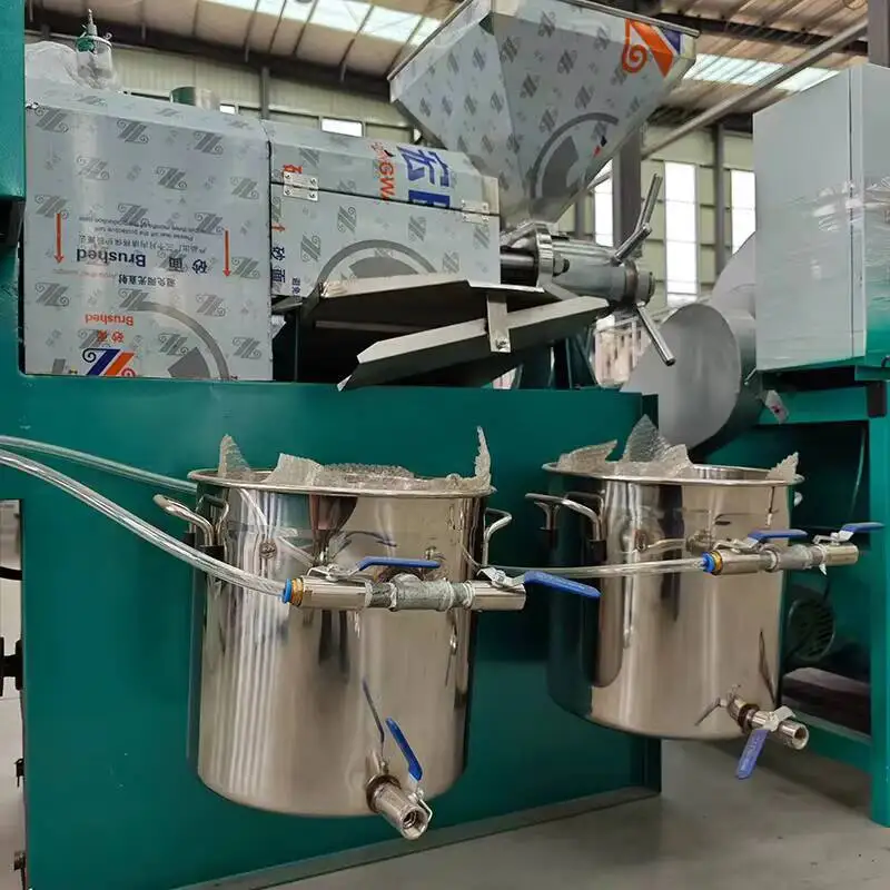 

Professional Peanut And Soybean Hot Oil Press Machine,commercial Complete Equipment For Medium-sized Oil Press